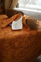 Gavrilov-Jamskij len1_05.12.2025.png